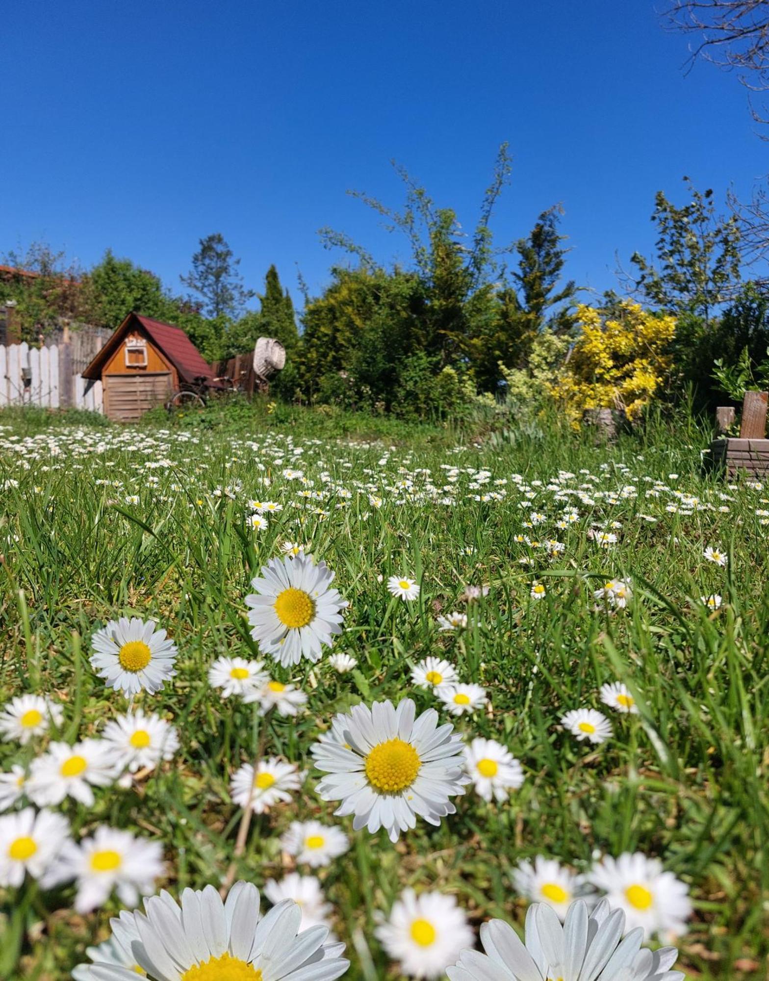 Ferienhaus Nr 2 - Das Kleine Haus Im Haus Heiligenstadt in Oberfranken Zewnętrze zdjęcie